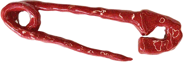 pin